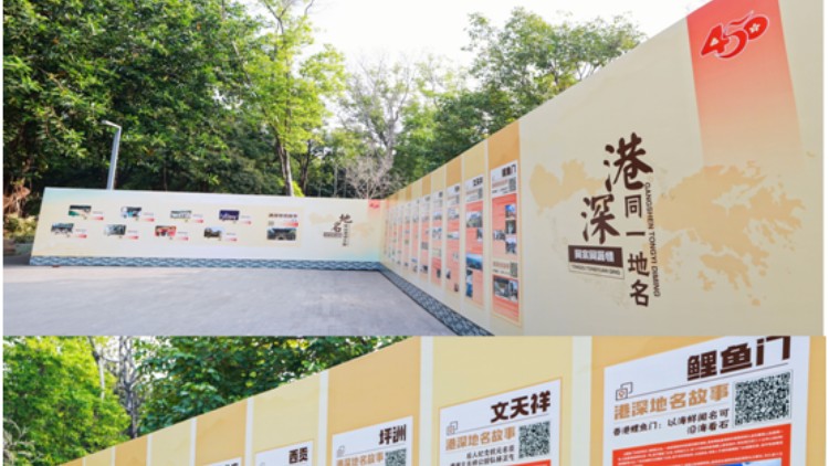 深港聯(lián)手！將重磅推出各界紀(jì)念新安縣建縣450周年專題聯(lián)展