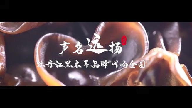 【「雪城」牡丹江 點(diǎn)「菌」成金】系列報(bào)道之十八  聲名遠(yuǎn)揚(yáng) 牡丹江黑木耳品牌叫響全國