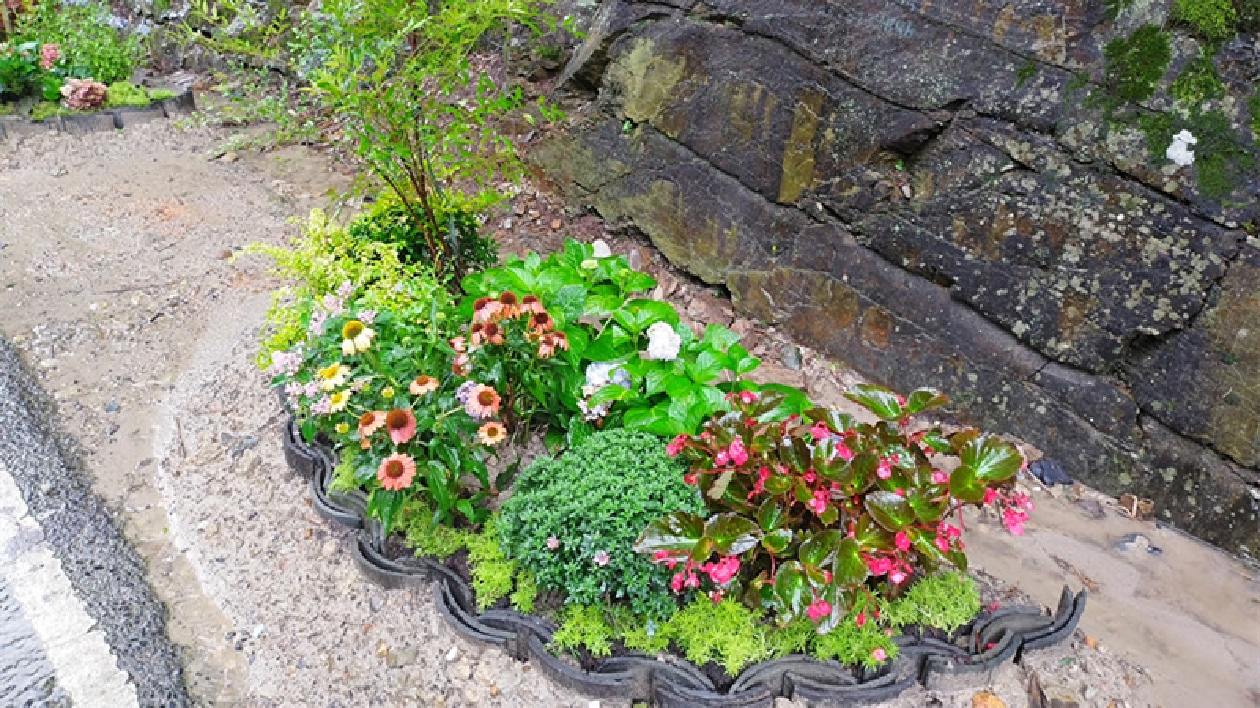 「豐景」變風(fēng)景  皖黟縣柯村鎮(zhèn)「微田園」扮靚鄉(xiāng)村容顏