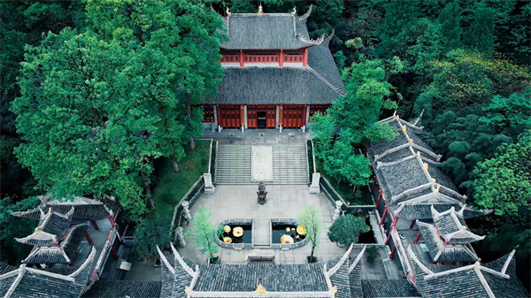 粵港澳大灣區(qū)文旅資本與7800年湖南鳳凰文化結(jié)下不解之「鳳緣」