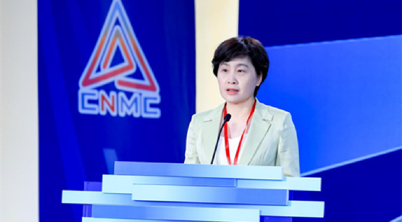 李愛武：為提升中國國際傳播能力貢獻(xiàn)湖南智慧