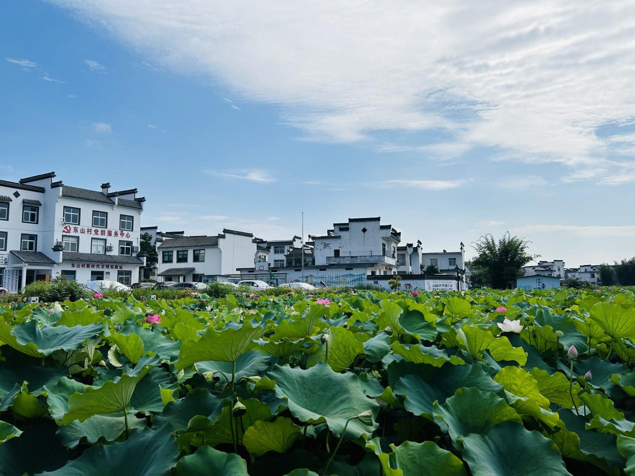 皖徽州區(qū)潛口鎮(zhèn)：「一村一品」產(chǎn)業(yè)發(fā)展效顯