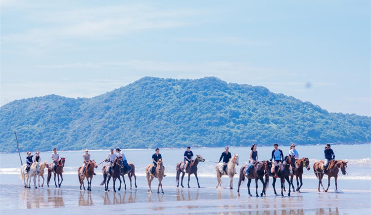 紀(jì)念新安縣建縣450周年  追憶同宗同源文脈 香港深圳深汕同鄉(xiāng)會(huì)打卡鄉(xiāng)情景點(diǎn)共敘深港情誼