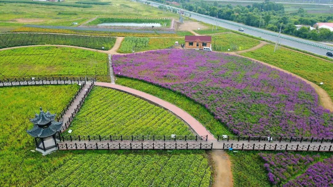 盛夏來這裏 共赴一場(chǎng)賞花觀景之約