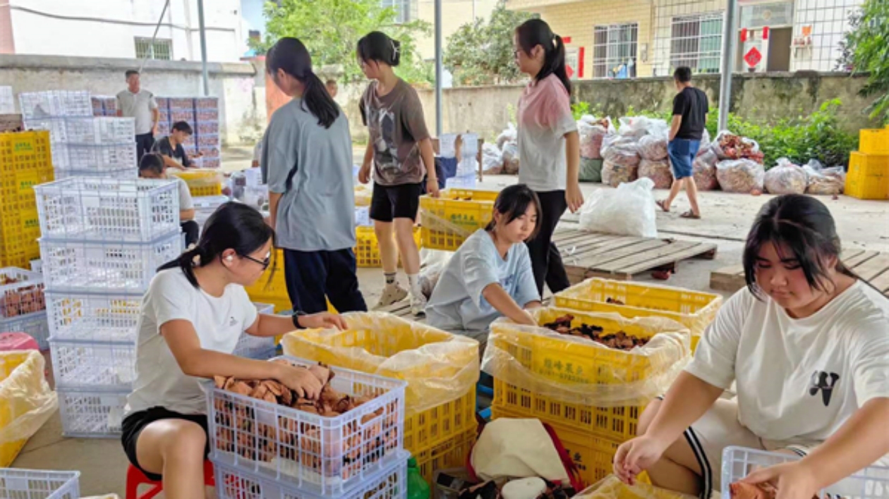 實力「出圈」！樂昌黃金柰李銷售火爆助農(nóng)增收致富