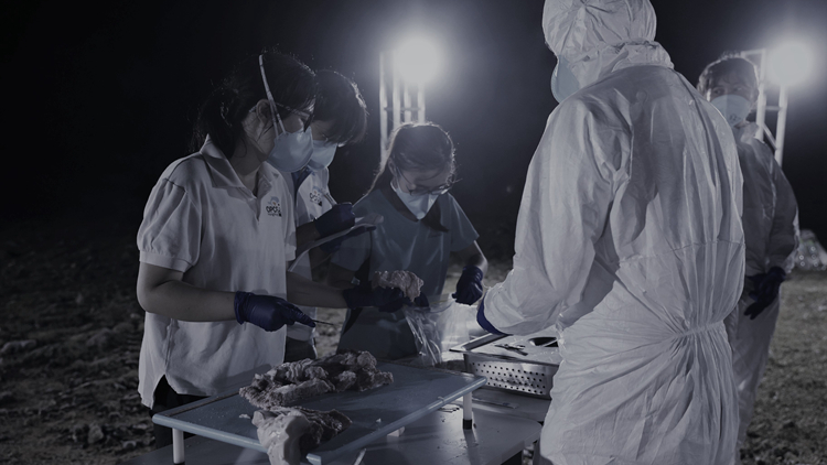  【商報(bào)時(shí)評(píng)】共建動(dòng)物友好型城市