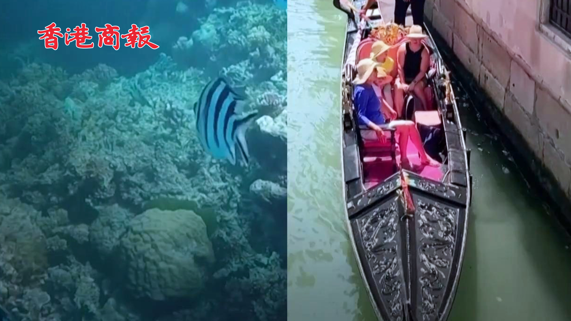 有片 | 面臨不可逆轉(zhuǎn)破壞風(fēng)險(xiǎn) 威尼斯或被列入《瀕危世界遺產(chǎn)名錄》