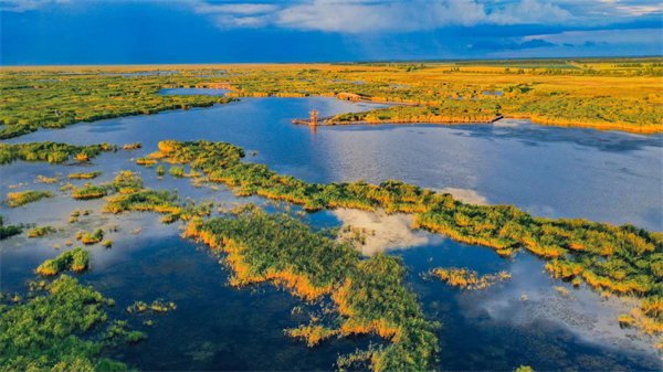 七星河國家級自然保護區(qū)總體規(guī)劃獲批