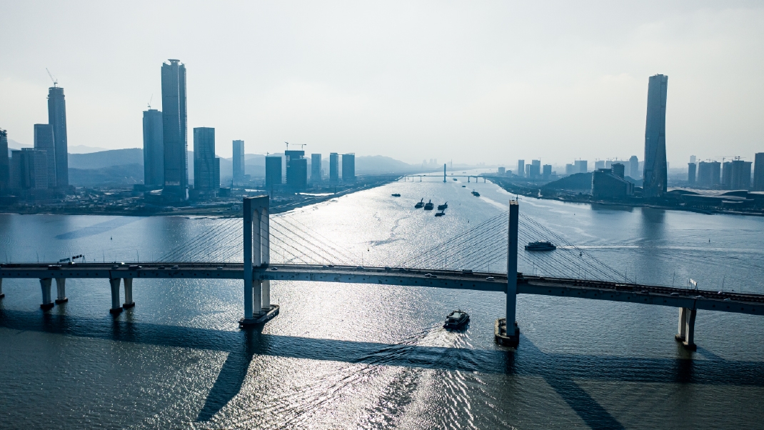 【有一說一】港青把握機遇 融入灣區(qū)發(fā)展