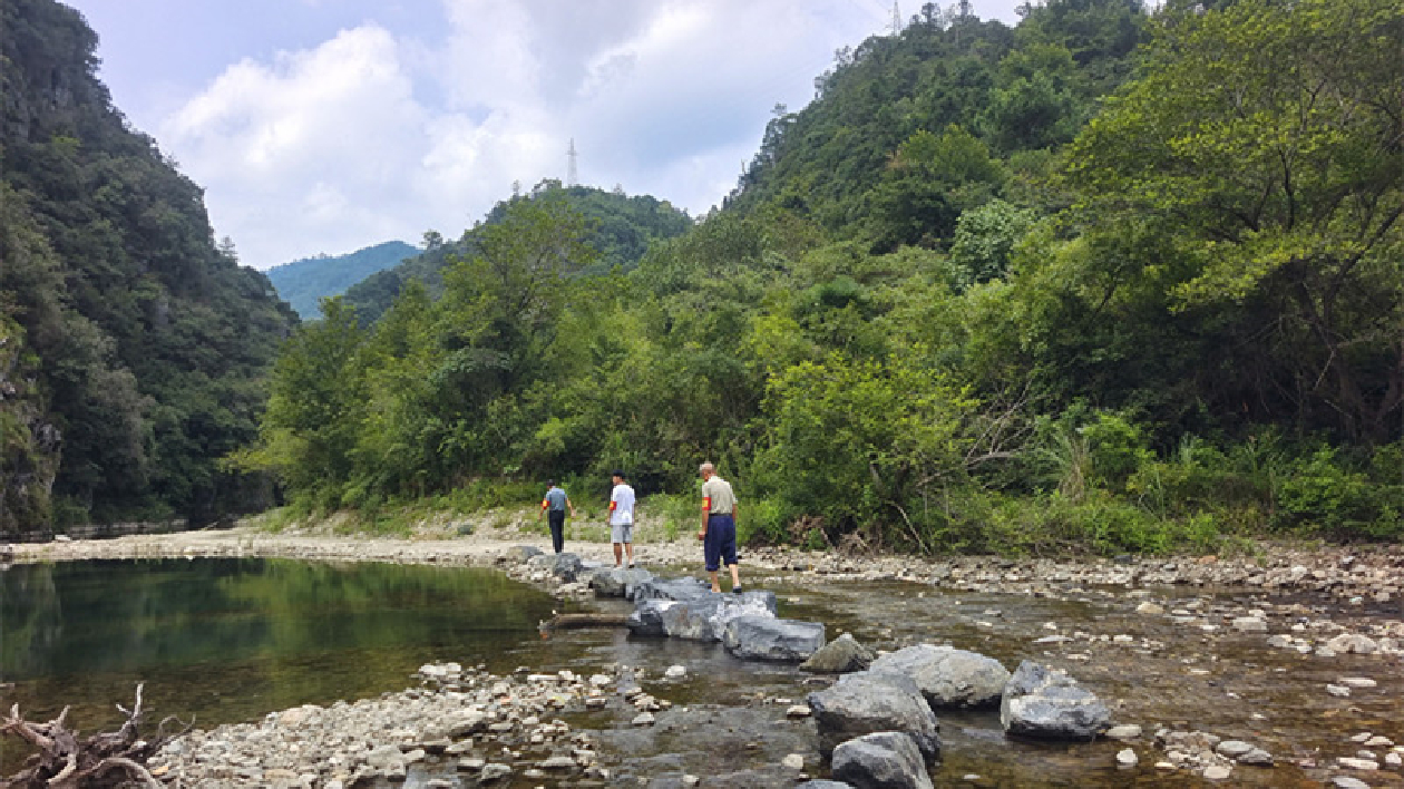 皖黟縣西遞鎮(zhèn)：聚焦「五微」 打造和美潭口