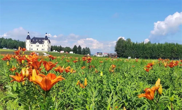 【對(duì)接大灣區(qū)·寒地龍藥耀九州】系列報(bào)道之六十