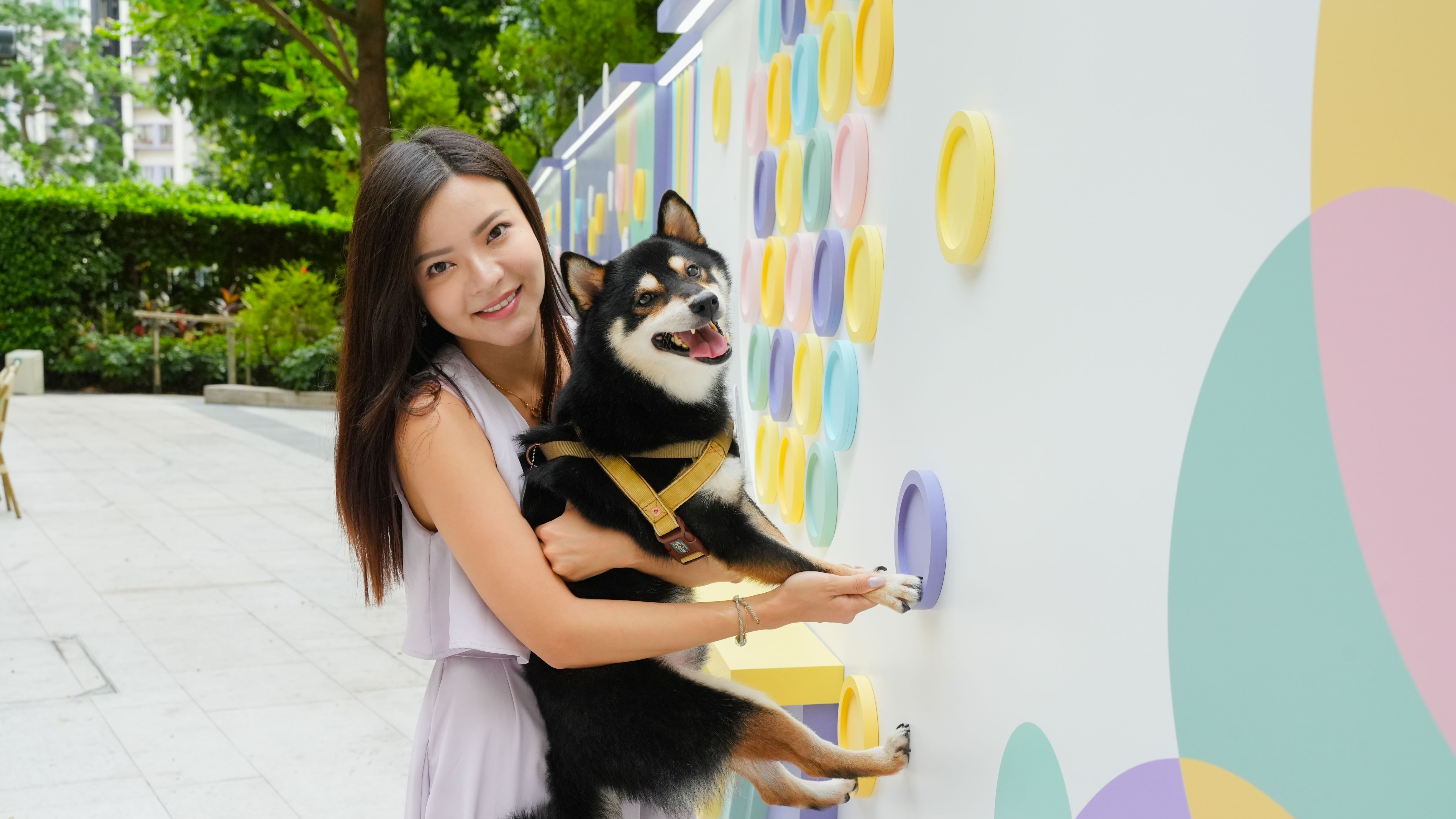 【玩樂】商場(chǎng)寵物優(yōu)惠活動(dòng) 捐贈(zèng)收入予動(dòng)物慈善