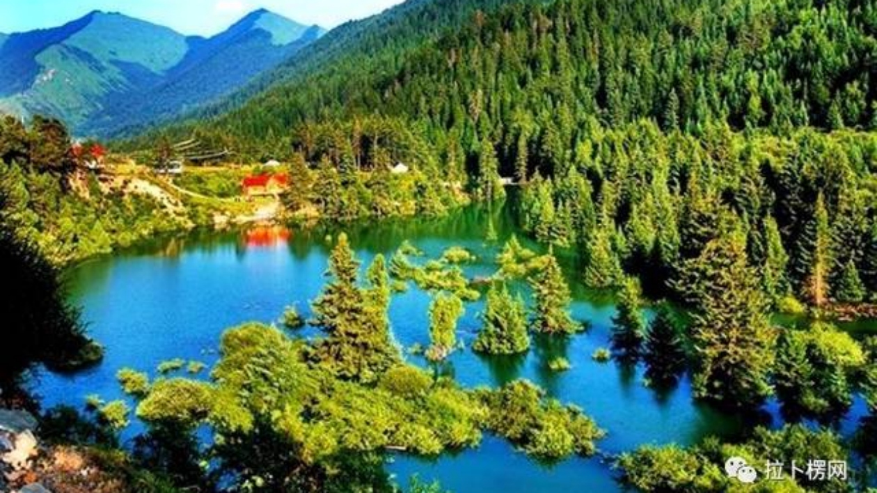 高質(zhì)量發(fā)展甘肅篇丨悠遊九色甘南 遊客作「留客」