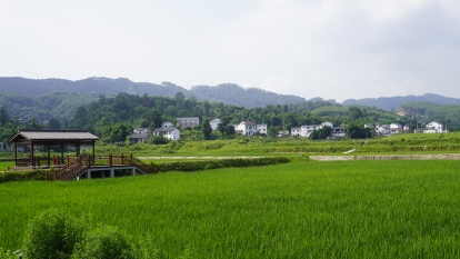 隆昌市石燕茶鄉(xiāng)：「農(nóng)業(yè)+非遺+旅遊」融合發(fā)展新模式