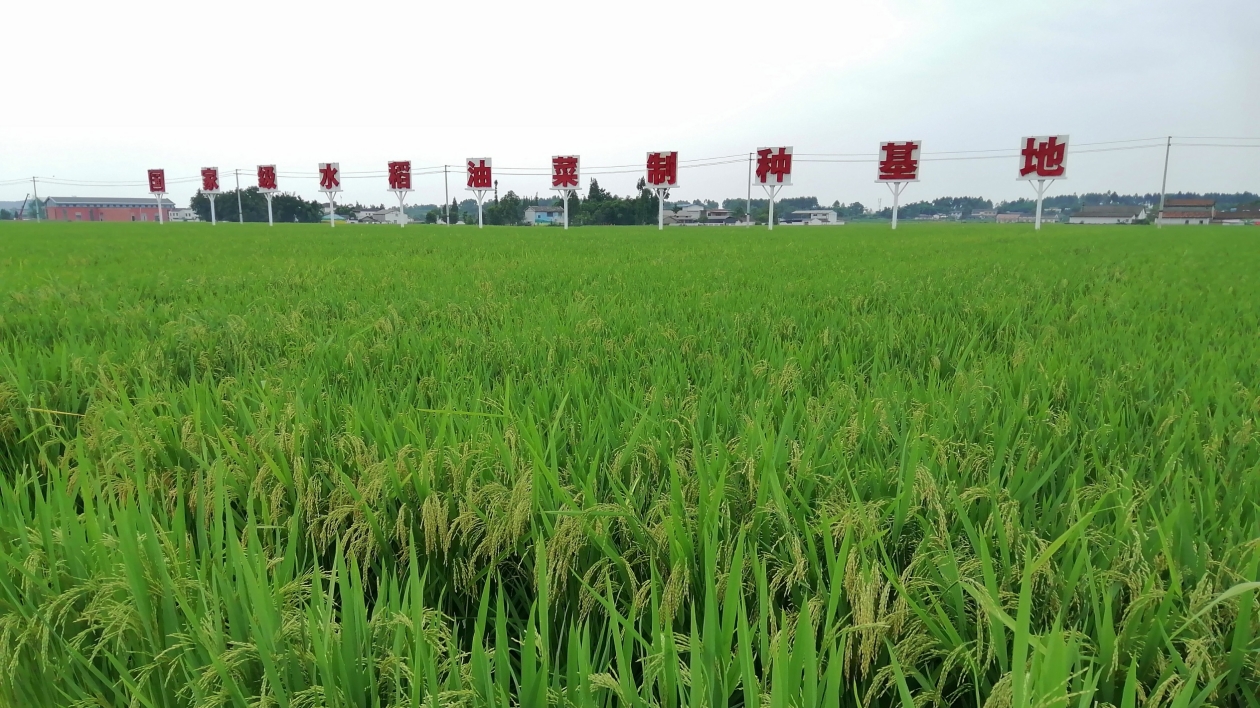 「綠動(dòng)地球 智造未來」2023全國主流媒體德陽行走進(jìn)羅江