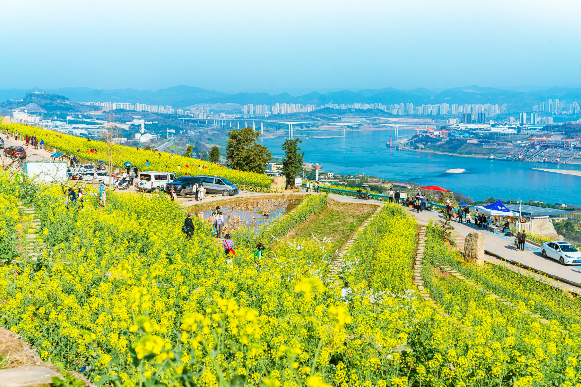 重慶大渡口：讓鄉(xiāng)村環(huán)境美人氣旺產(chǎn)業(yè)興