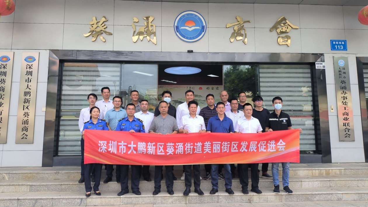深圳葵涌美麗街區(qū)發(fā)展促進會揭牌成立