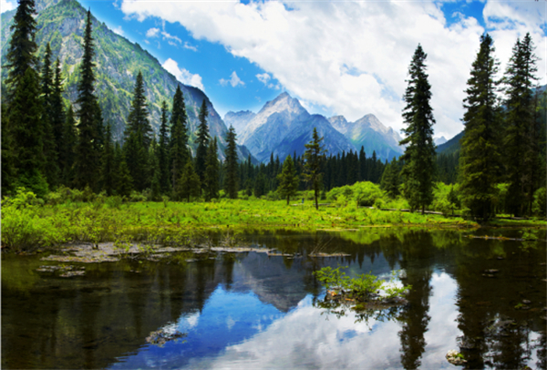 兩岸專家學者相聚平武 共話大熊貓國家公園生態(tài)保護