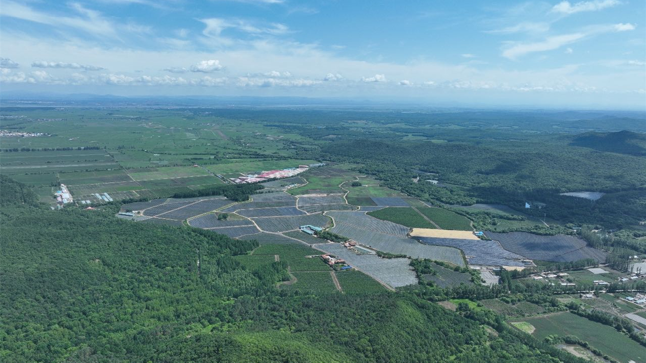 【對(duì)接大灣區(qū)·寒地龍藥耀九州】系列報(bào)道之六十二