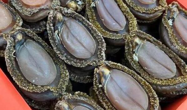 日本水產(chǎn)品價格暴跌 部分產(chǎn)地鮑魚價格較去年同期降價30%