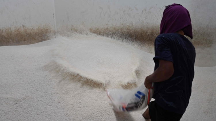 泰國大米出口價(jià)格飆升