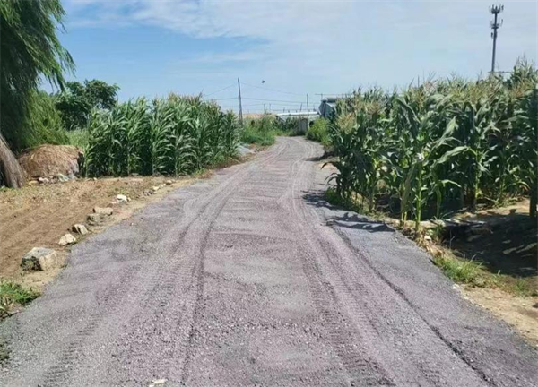 只花9萬(wàn)多元！為村民「量身定製」出九項(xiàng)暖心惠民小工程