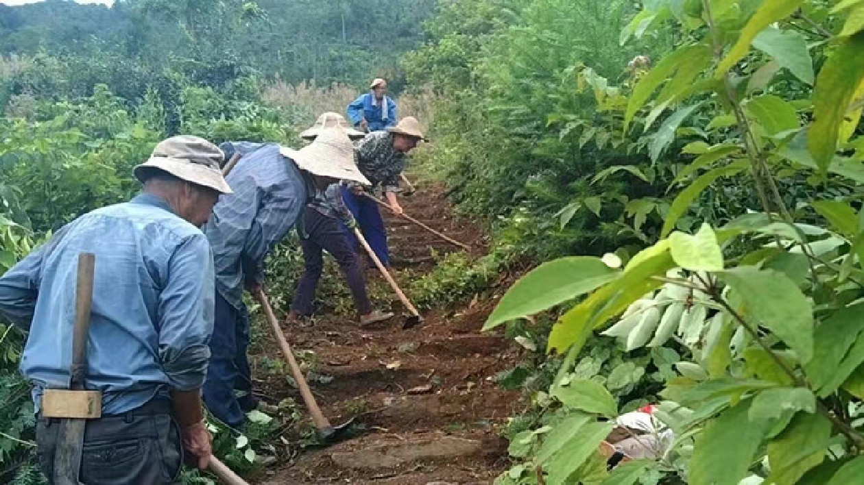 皖祁門祁紅鄉(xiāng)：「活化」古道助力多業(yè)態(tài)融合發(fā)展