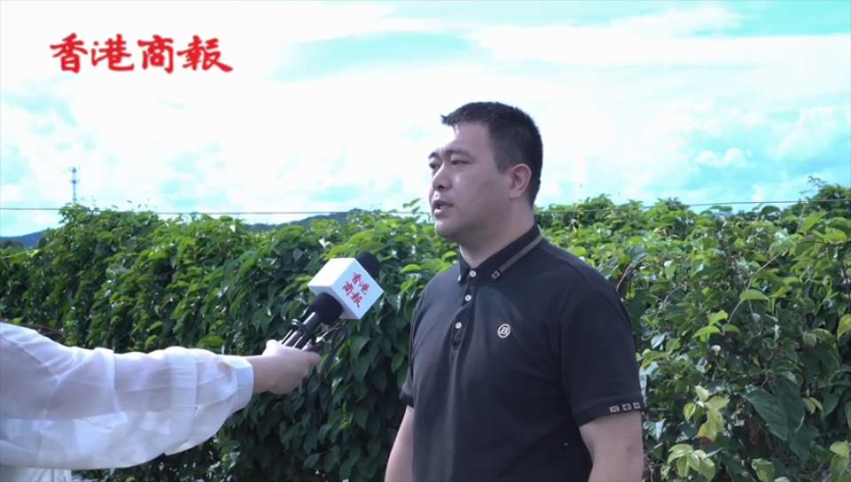 龍江森工清河林業(yè)局：做大「五大基地」 大力發(fā)展多元化、複合型林區(qū)經(jīng)濟