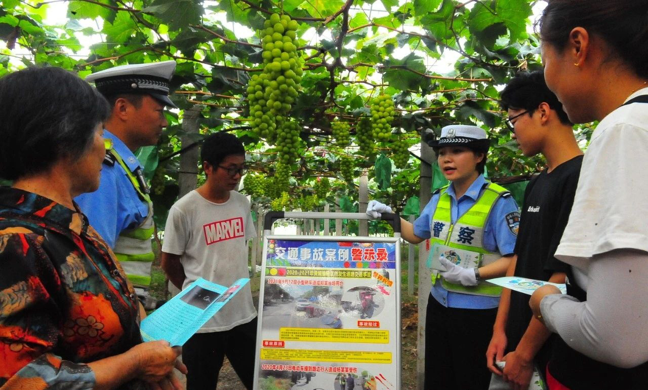 安徽巢湖：公安入秋護農(nóng)正當時