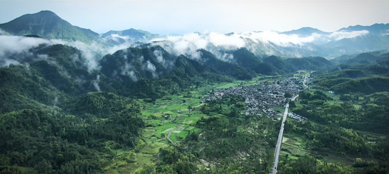 皖黟縣西遞鎮(zhèn)：推深做實林長制  築牢生態(tài)屏障