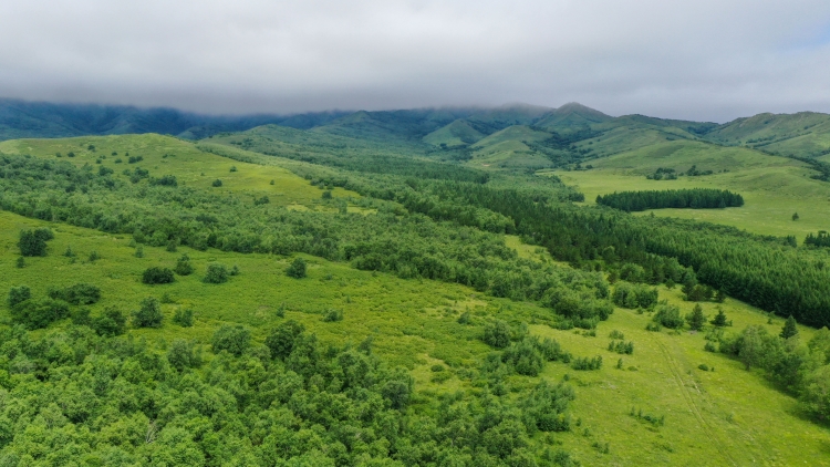 內(nèi)蒙古自治區(qū)氣象臺(tái)發(fā)布雷電黃色預(yù)警信號