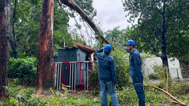 「蘇拉」來襲 南網(wǎng)人逆行搶修的最美身影