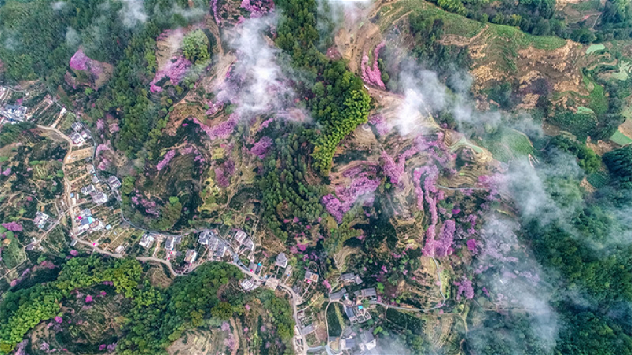 創(chuàng)新創(chuàng)意賦能  皖歙縣賣花漁村繪寫「新安山居圖」