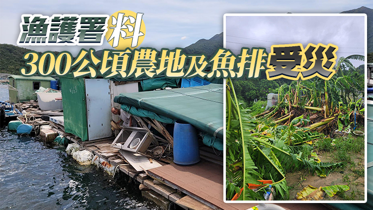 颱風(fēng)蘇拉 | 本地農(nóng)戶及養(yǎng)魚戶5日起可申請緊急救援基金 截至13日