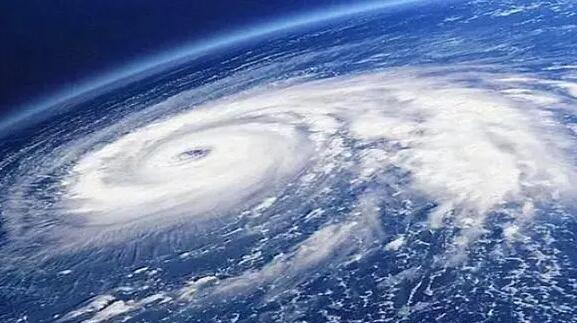 「?？贯勁_東農(nóng)損逾6億元新臺幣