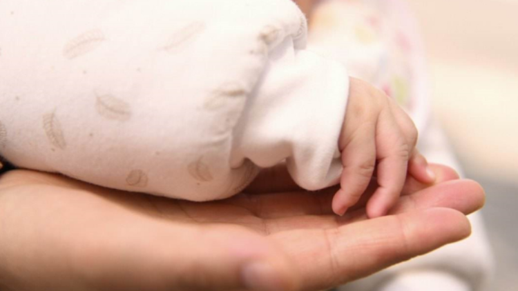 最新統(tǒng)計(jì)出爐！深圳新生兒名字這些字使用頻率高