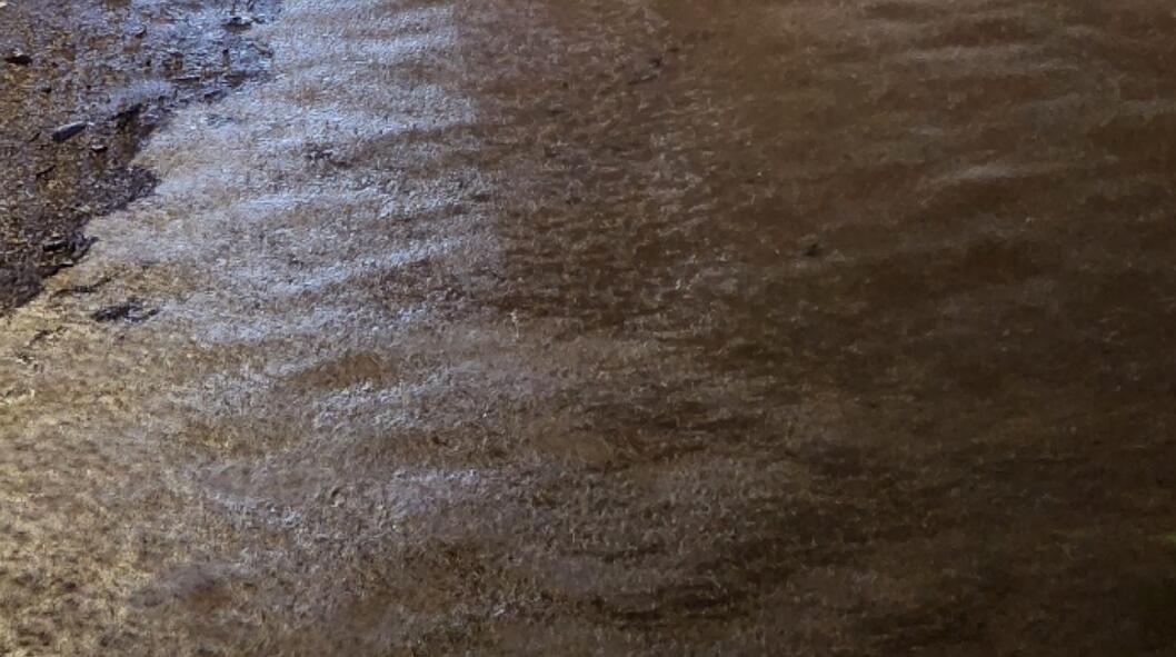 世紀暴雨｜渠務(wù)署：新界北部水浸與深圳排洪無關(guān)