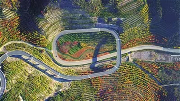 宜哉！西山