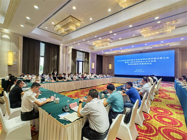 加強交流合作 共享開放未來 貴商大會企業(yè)家走進貴安新區(qū)