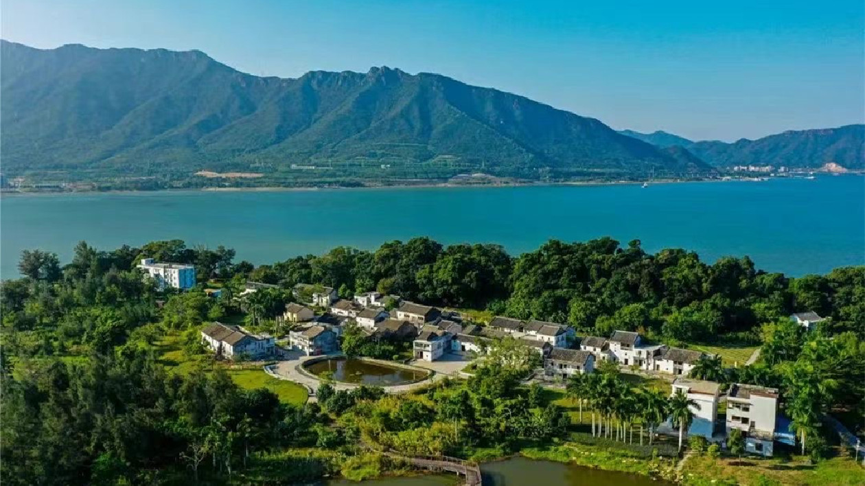 深圳大鵬壩光古銀葉樹群入選全國(guó)「100個(gè)最美」