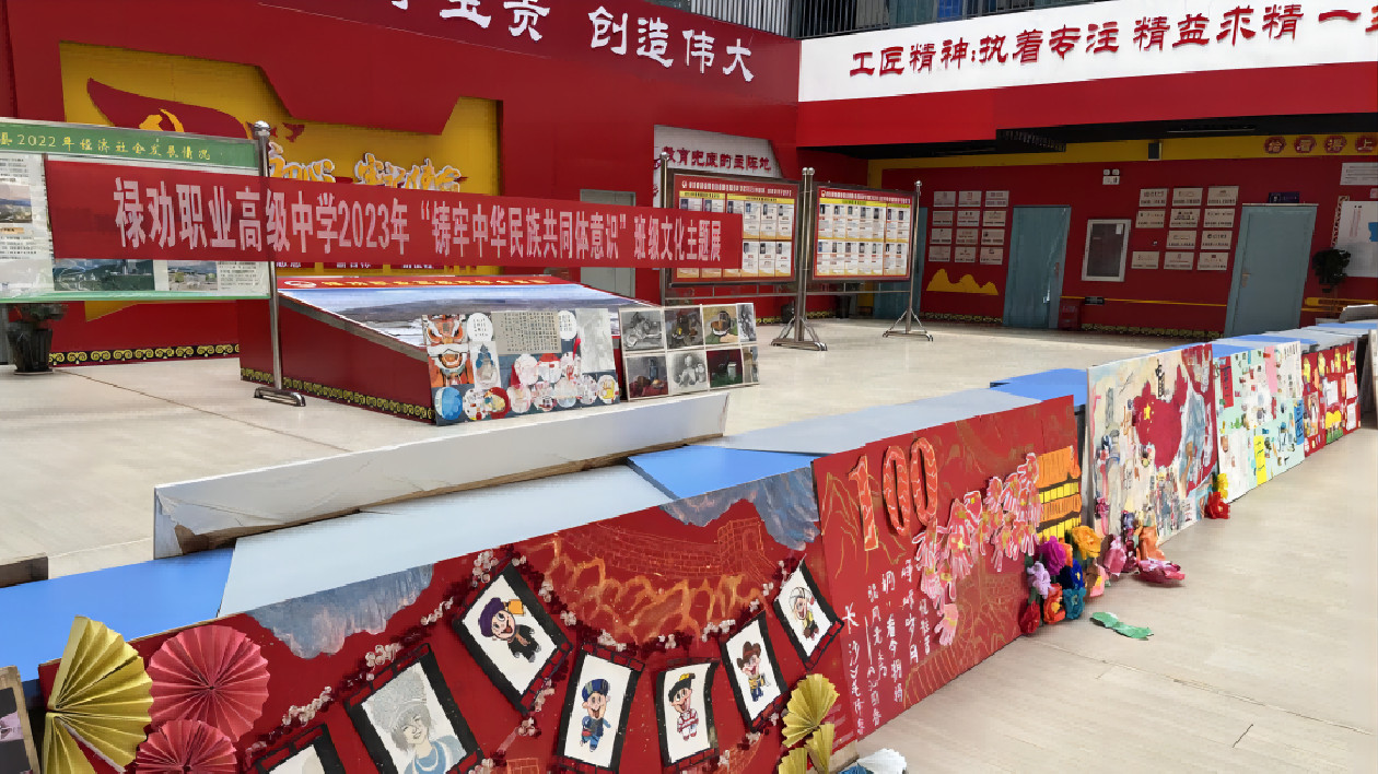 雲(yún)南祿勸：加快發(fā)展職業(yè)教育  共育民族團結(jié)進步之花