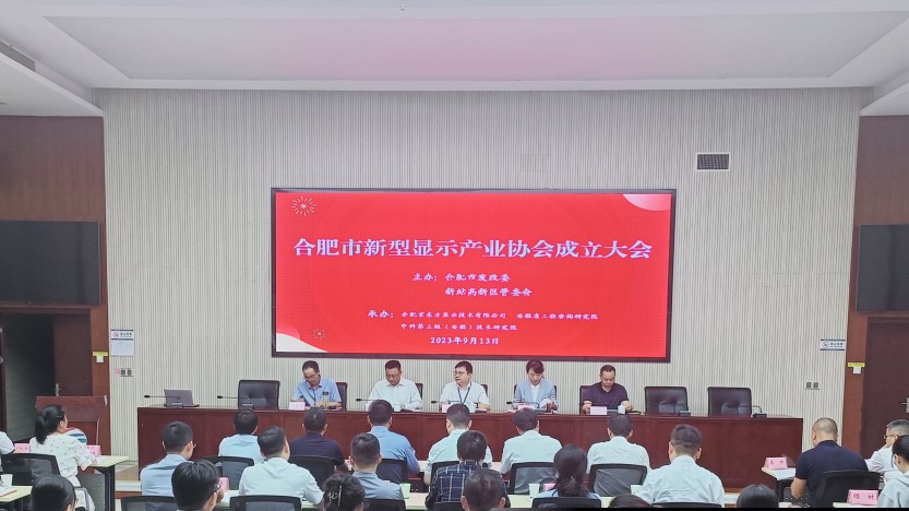 安徽合肥：新型顯示產(chǎn)業(yè)協(xié)會正式成立