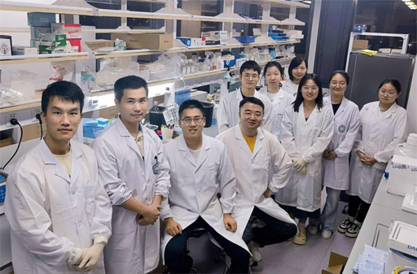 刷新教科書！最全人體免疫系統(tǒng)發(fā)育圖譜來了