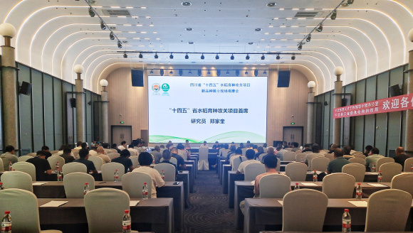 四川平武：「科技+人才」全方位夯實(shí)糧食安全根基