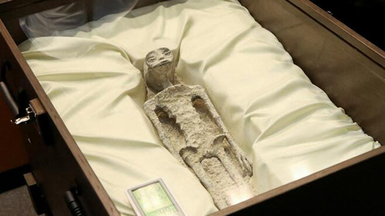 NASA：不排除UFO等現(xiàn)象與外星人有關