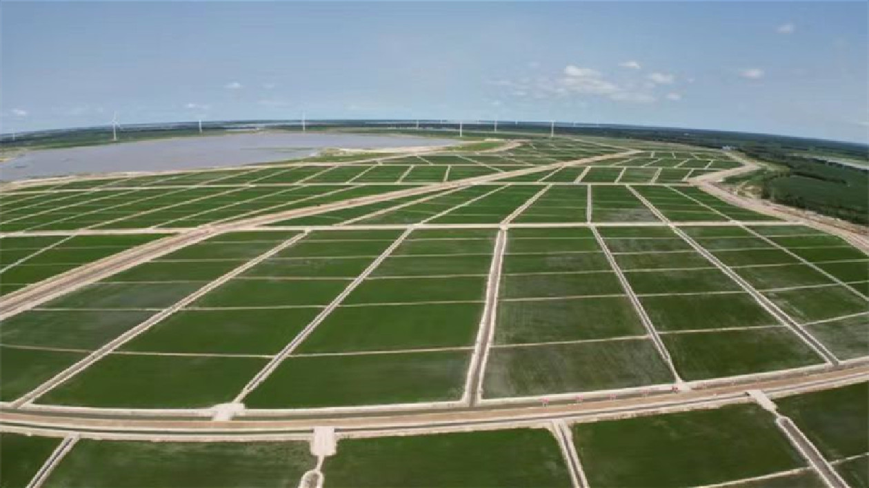 大慶：開創(chuàng)高質量發(fā)展全面振興全方位新局面