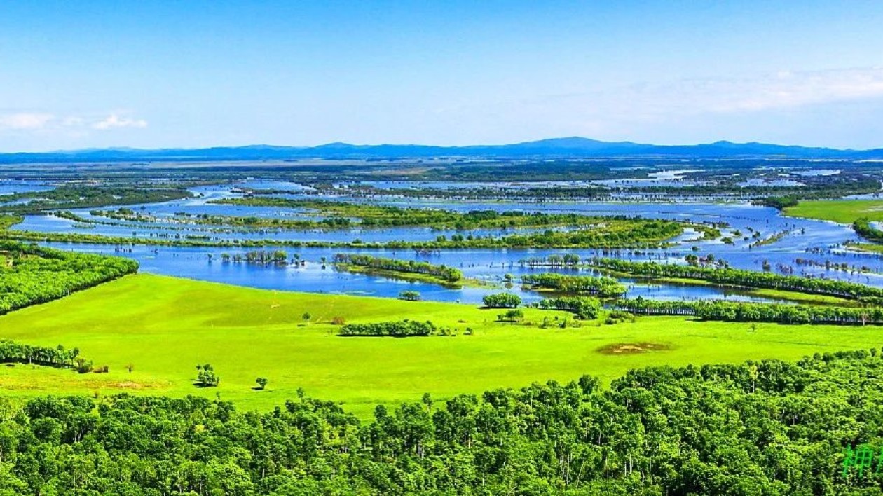 龍江森工集團(tuán)：築牢「防火牆」 守好「生態(tài)綠」