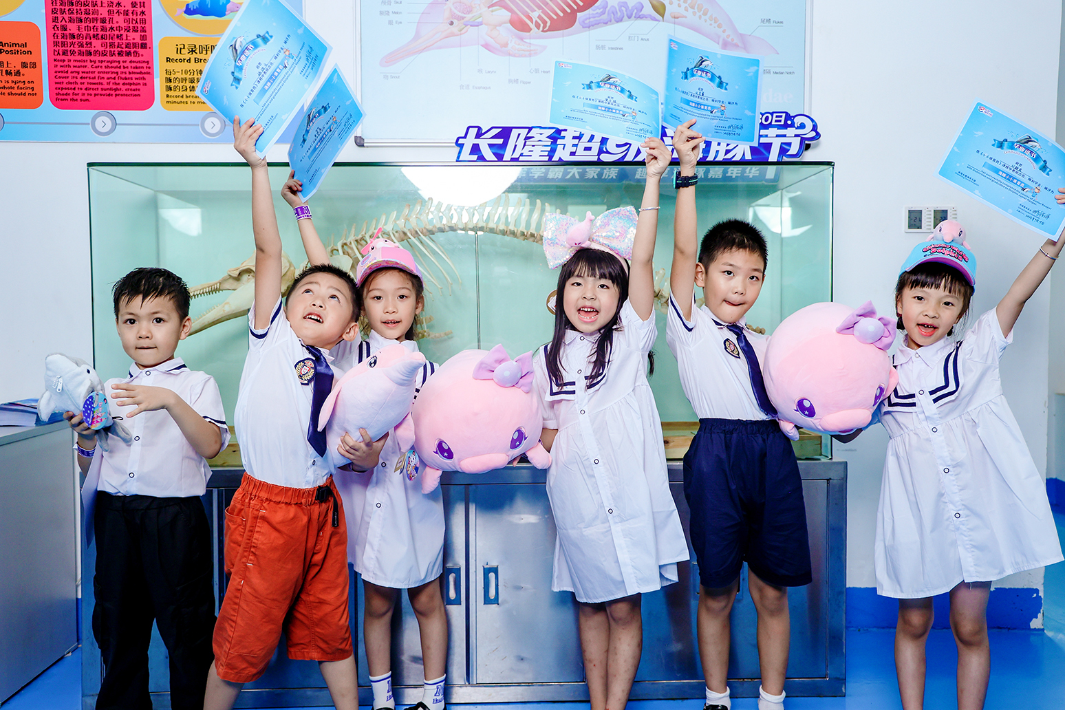 超級(jí)海豚節(jié) 珠海長隆開啟妙趣橫生的科普沉浸之旅