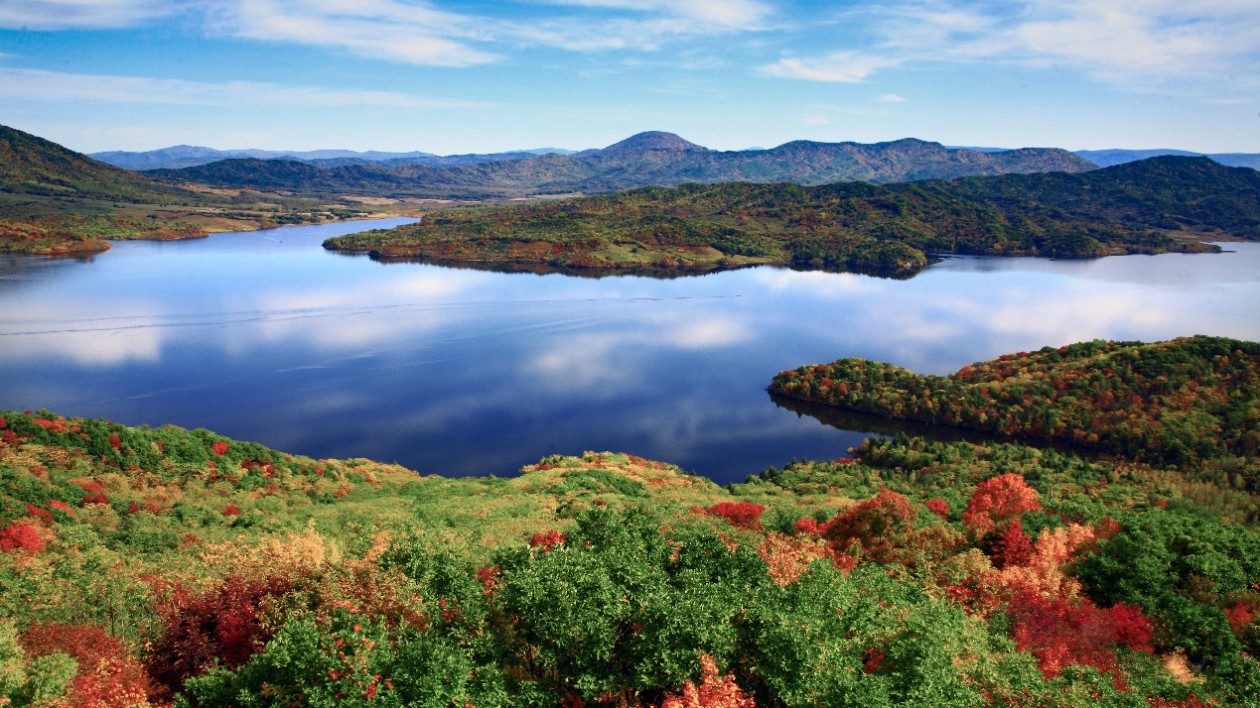 畫山、畫水、畫田園 共繪龍江金秋旅遊「多彩油畫」