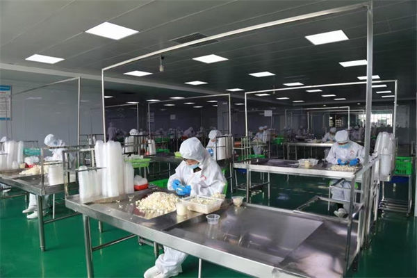 蘭州百合九年「修身」一朝「入市」：3成赴灣區(qū)